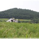 바닷가하얀집 이미지