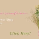 지아아틀리에 이미지