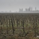 김태규농장 이미지