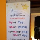 보니또펫 이미지