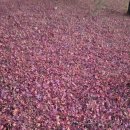 쉼이필요할때 이미지