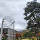 하코네 여행 코스 추천 유리의숲 미술관 하코치케 플러스 후기