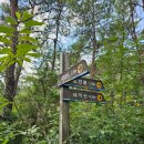 화순케어랜드요양병원 | [명산기행#682] 호남정맥 화순 태악산 최단코스 산행_0801