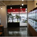 아이러브독 강아지 부천점 이미지