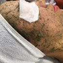 써니바이오 이미지