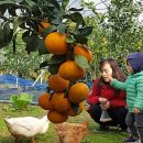 성찬농장 이미지