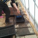 태안목장 이미지