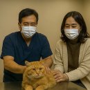 영지메디컬 이미지