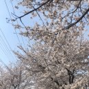 미니스톱원주관설제일점 | [공지] 원주 왁싱 어디가 좋을까? 11년차 원장이 알려주는 진짜 기준!!