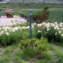 행복한집펜션 이미지