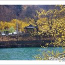 현천마을 이미지