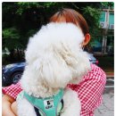 은작 이미지