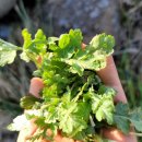 하고수동 탈의장 이미지