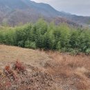 원남농장 이미지