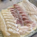 호박포차횟집 | 부산 연산동 횟집 맛집 산바다횟집 모둠회