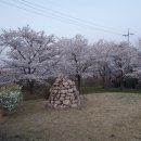 머물다(stay) 네이버블로그