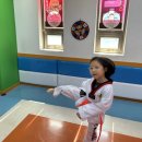 사형제 최강튼튼태권도장 | 최강튼튼태권도, 안전하다고 하던데 사실인가요?