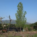 미루하우스 이미지