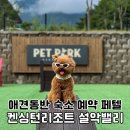 바우밸리 | 켄싱턴리조트 설악밸리 애견동반 여행 숙소 페텔 예약