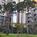 LG메트로 내 도로 이미지