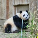 을숙도 테니스장 이미지