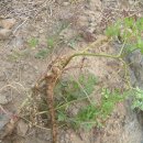 장백농장 이미지