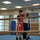 Bee 복싱짐 이미지