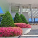 왔구나 왔어 3인의 배뱅이 이미지