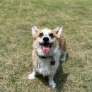 그라운독 이미지