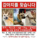 신석 이미지