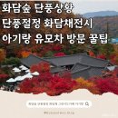GS25상록성호로점 | 화담숲 요금 예약 단풍상황 화담채전시 모노레일 그린시드 카페 아기랑 유모차 방문 꿀팁