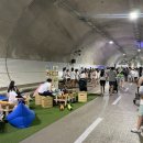 수지의원 이미지