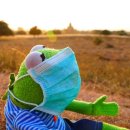 신기초등학교2 이미지