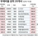 ﻿대기업 60%, 자본보다 빚 많아…효성화학 완전자본잠식 이미지