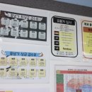 용인대 태권도장 이미지