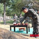 허브꿈터