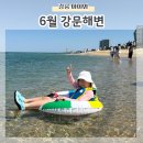 사천경로당 | 강릉바다 강문해변 6월 아이와 물놀이 상황