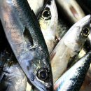 삶과 죽음 이미지