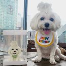 해피멍쓰데이 이미지