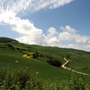 상동 종합 정비 이미지