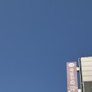 광명쑥뜸 | 시흥쑥뜸 후기: 허리·목·발끝까지 전신 케어, 붓기와 피로 싹 날렸어요! 쑥뜸천하 시흥은행점