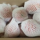 석수농장 이미지