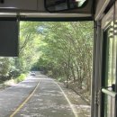 무등산 | 광주 무등산 원효사 방문 후기 :) 1187버스 타고 힐링 다녀왔어요!