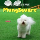 중부대로681번길 이미지