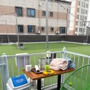 놀다가개 이미지