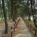 [태안] 태안해변길 하이라이트 코스와 꽃지해변 일몰(12/27 토) 이미지