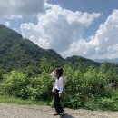 도심다원 이미지