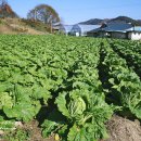 가파마을 이미지