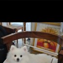 약수역 10번 출구 이미지