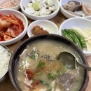 위닝 | 6월12일~6월15일 삼성라이온즈파크에서 위닝시리즈 직관 후기 feat. 코이세이오 콜라보 유니폼